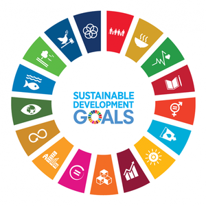 SDG_wheel3